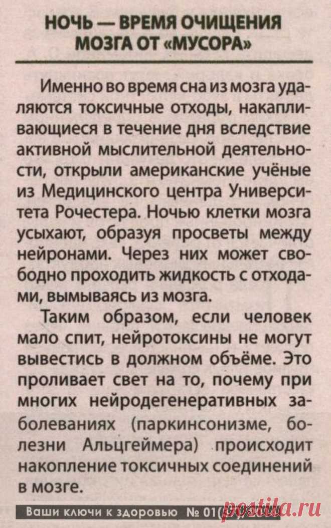 Ночь - время очищения мозга от "мусора"