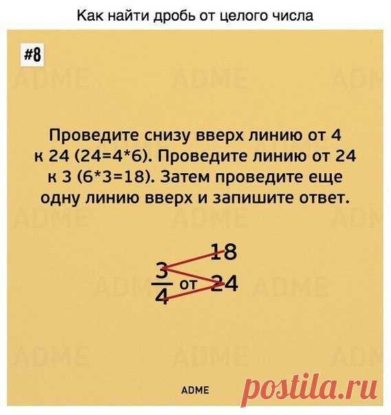 Такому в школе нас не учили, а жаль...!