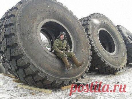 Срочно продам комплект зимней резины не дорого :)
.
Челябинская щебёнка......