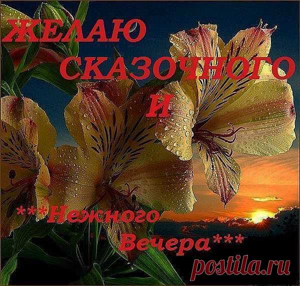 Фото@Mail.Ru: Борис Боровской : Добрый вечер