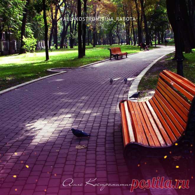 - Медитация и парк совместимы? 🌴
- Более чем! Можно сидеть и замечать свои мысли, которые плывут в сознании без ярлыков и оценок. 
❤ Я просто наблюдаю за ними. Пусть плывут. При этом блокнот и ручка со мной. Как только моя предвзятость задерживается на одной из них, понимаю - есть повод для Работы 👍