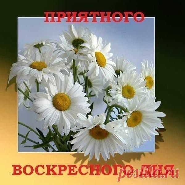 Фото СПАСИБО!. Альбом БЛАГОДАРНОСТИ - 50 фото. Фотографии zoja simonova.