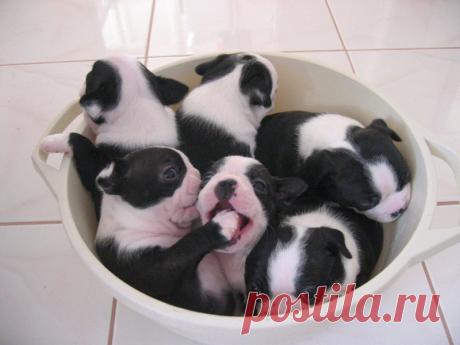 Фотографии вместо антидепрессантов