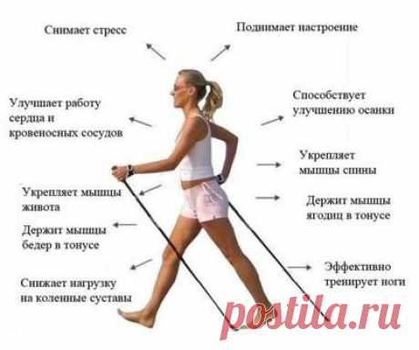 Скандинавская ходьба с палками