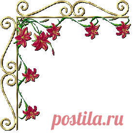 (49) Одноклассники