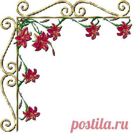 (49) Одноклассники