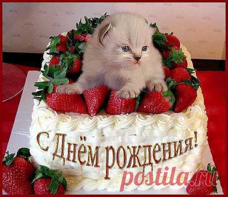 открытка