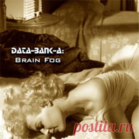 Data-Bank-A - Brain Fog (2026) 320kbps / FLAC