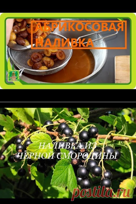 (113) Лучший в МИРЕ рецепт АБРИКОСОВОЙ НАЛИВКИ. Отвечаю!!! - YouTube