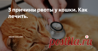 3 причины рвоты у кошки. Как лечить. Причины тошноты или рвоты у кошки
Рвота у кошки не всегда может быть вызвана наличием какого-либо заболевания. Если у неё не наблюдается ины