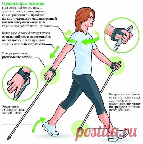 Польза и техника скандинавской ходьбы. Как правильно подобрать палки | Полезные советы