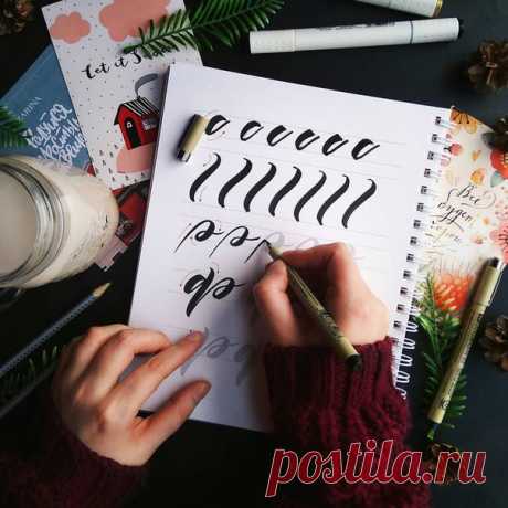 @books_and_sunflowers занимается каллиграфией по прописям Анны Рольской и вспоминает: «В моей первой школе не уделяли большого внимания почерку, главное было писать быстро. Поэтому, когда после переезда я пришла в новую школу, учительница там падала в обморок от моих каракуль, которым позавидовал бы любой врач». Если у вас такой же почерк, это не повод расстраиваться: каллиграфия — не то же самое, что писать в тетрадках, это скорее рисование. Сама автор прописей Анна Рольская на мастер-классах…