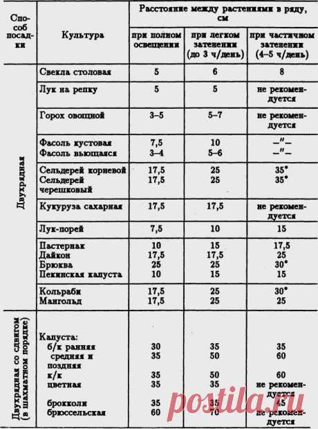 ПОЛЕЗНЫЕ СОВЕТЫ | Записи в рубрике ПОЛЕЗНЫЕ СОВЕТЫ | Дневник terira01