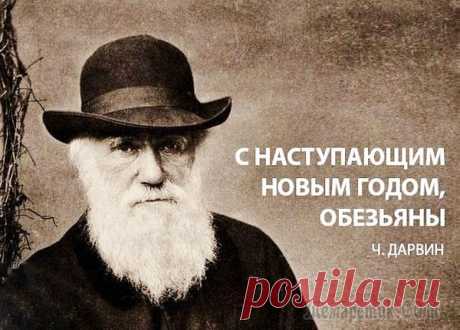 ЮМОР ПО ДАРВИНУ