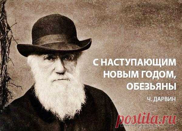 ЮМОР ПО ДАРВИНУ