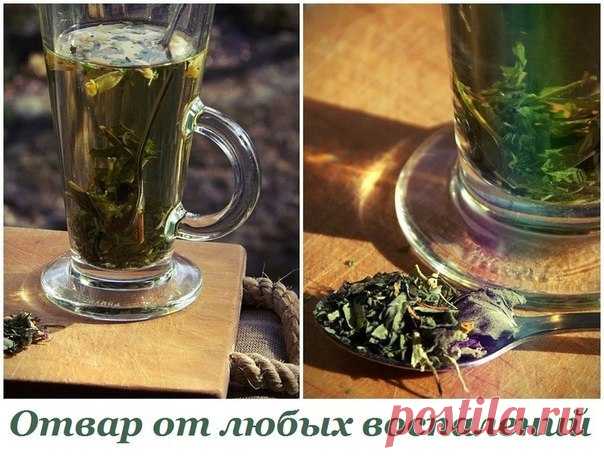 Отвар от любых воспалений.