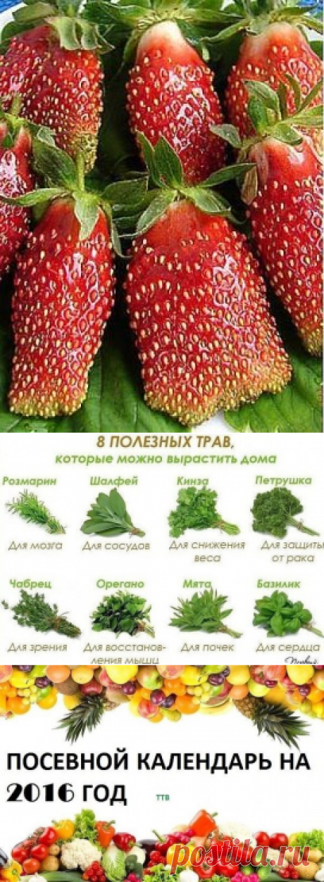 (33) Одноклассники