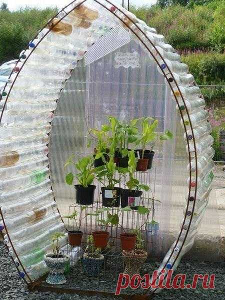 Идеи для дачи из пластиковых бутылок — Сделай сам, идеи для творчества - DIY Ideas