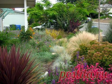 Как красиво украсить палисадник своими руками: дизайн: ограда: фото