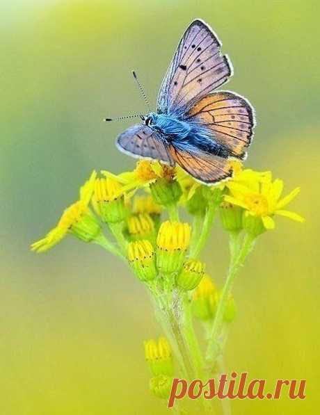 Интересные новости