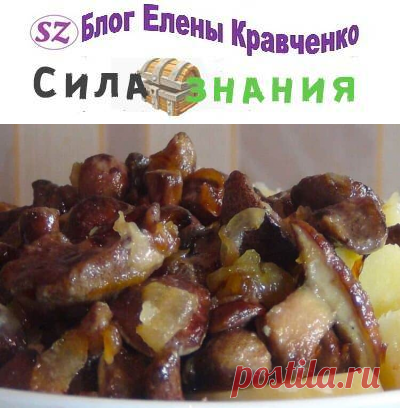 Жареные маслята с луком на сковороде (рецепт пошагово)