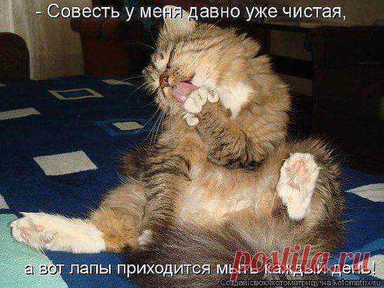 Любишь животных?
Вступай в группу http://ok.ru/kis.kis.myau