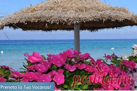 Рекламные фото отелей и реальность — Все о туризме и отдыхе