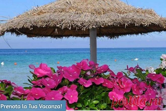 Рекламные фото отелей и реальность — Все о туризме и отдыхе