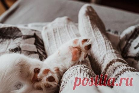 Мерзнут ноги: 10 возможных причин Почему ноги все время мерзут и что с этим делать