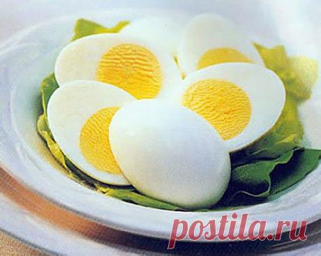 (+1) тема - Чайная диета | ЗДОРОВЫЙ ОБРАЗ