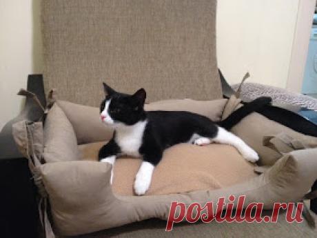 Made in dali handmade cat bed, pet bed