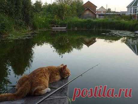 Ловись рыбка большая и малая...