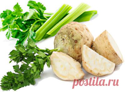 Сельдерей - полезные свойства сельдерея, польза и вред сока сельдерея, сельдерей из семян