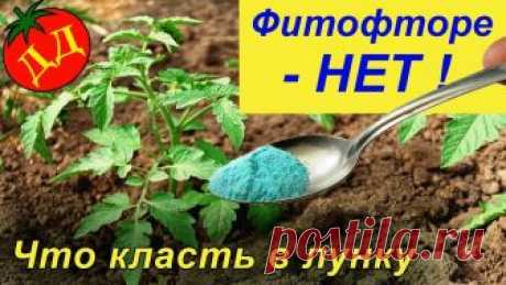 ЧТО КЛАСТЬ В ЛУНКИ ПРИ ПОСАДКЕ