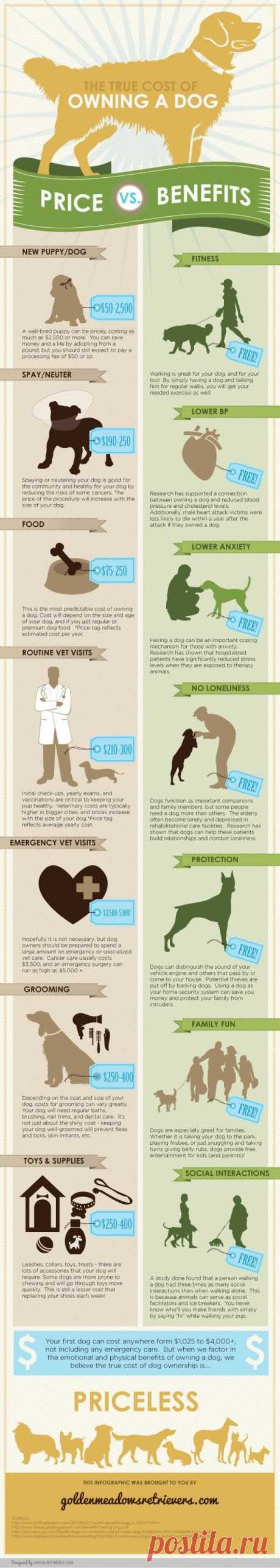 Cost and benefits of owning a dog.