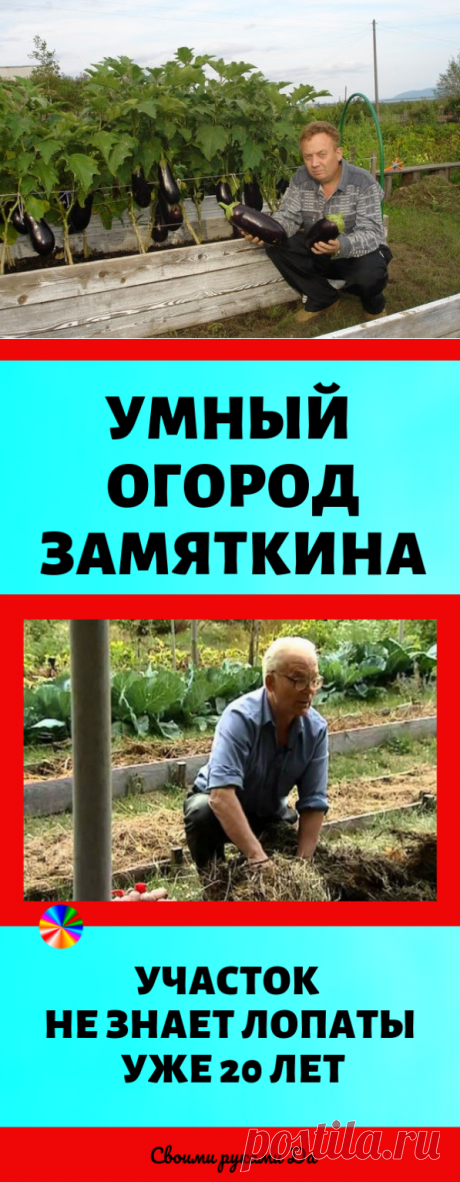 СУПЕР НУЖНЫЕ СОВЕТЫ ДЛЯ ДАЧНИКОВ!