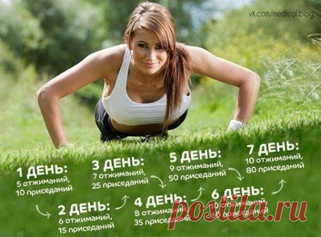 Новости