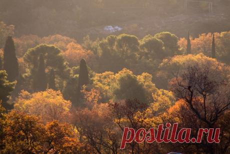 (49) Одноклассники