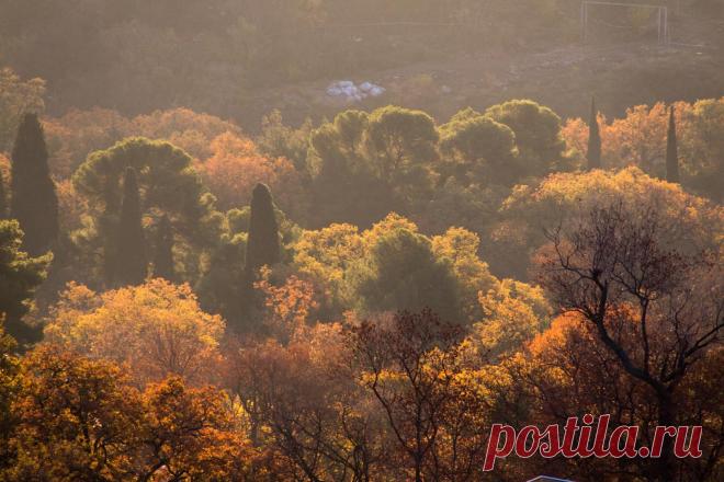 (49) Одноклассники