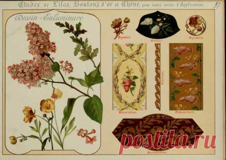 Fleurs d'après nature et fleurs ornementales : études de fleurs et feulliages avec diverses interprétations applicables à l'enluminure et à la décoration : Guillot, Ernest : Free Download, Borrow, and Streaming : Internet Archive