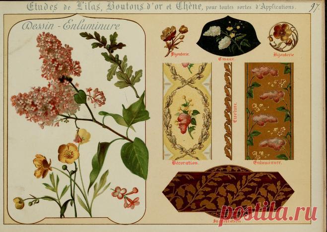 Fleurs d'après nature et fleurs ornementales : études de fleurs et feulliages avec diverses interprétations applicables à l'enluminure et à la décoration : Guillot, Ernest : Free Download, Borrow, and Streaming : Internet Archive