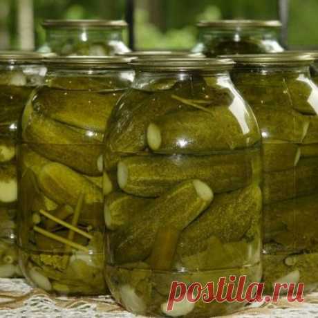 Как использовать огуречный рассол: 7 проверенных временем способов!