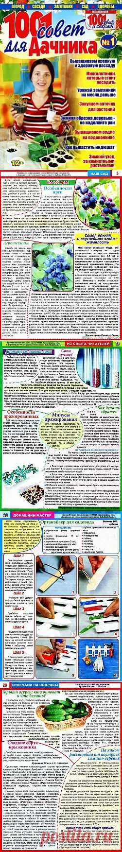 1001 совет для дачника №1 2014.