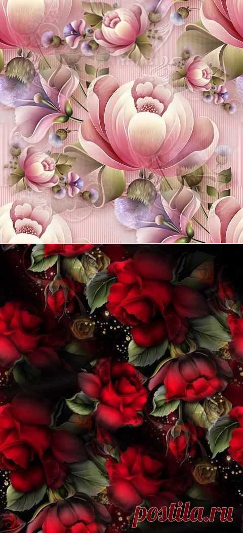 Яндекс.Фотки