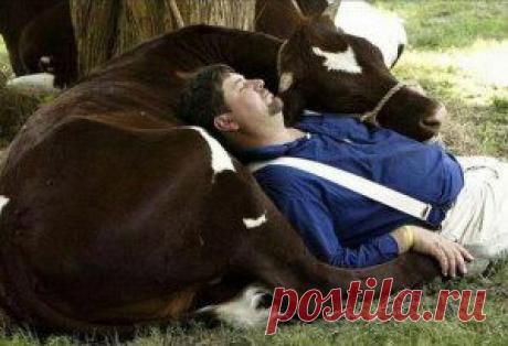 Одноклассники