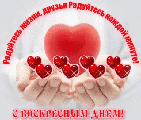Пускай это воскресенье подарит вам огромное море радости и позитива!