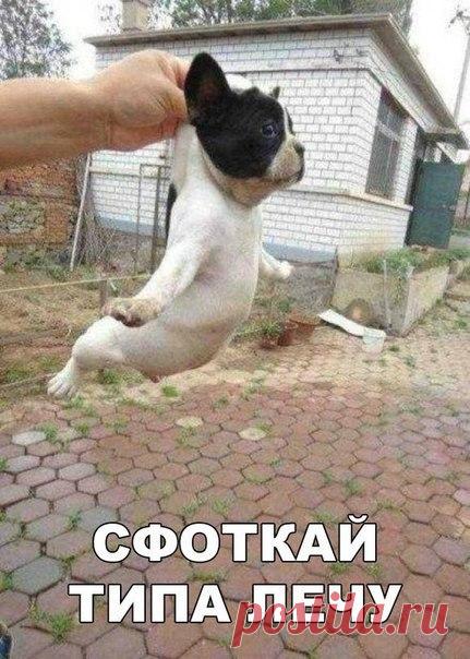 Корпорация Юмора ツ