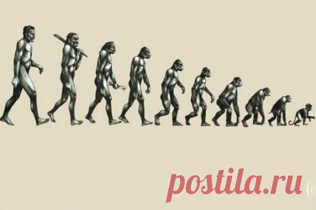 Похоронное бюро образования и науки: в Госдуме «оценили» эффективность работы чиновников из системы просвещения