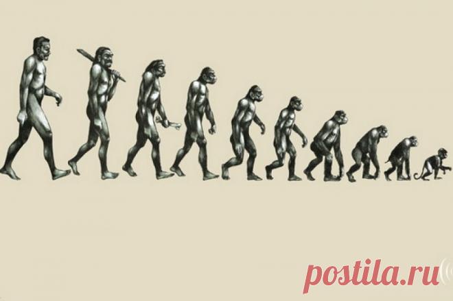 Похоронное бюро образования и науки: в Госдуме «оценили» эффективность работы чиновников из системы просвещения