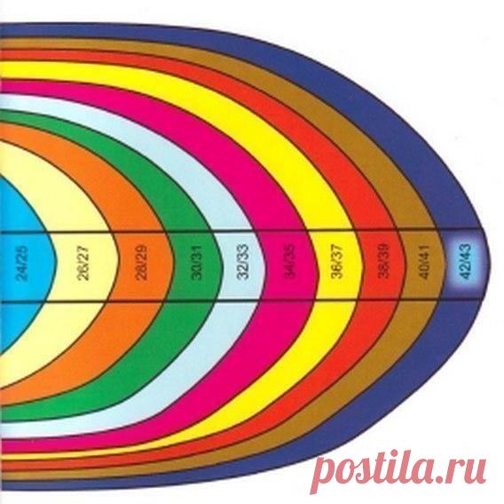 Общие правила вязания носков 

Таблица размеров 
1. Размер
Длина носка измеряется в сантиметрах и рассчитывается следующим образом: размер ноги нужно разделить на 3 и умножить на 2 = длина ступни в сантиметрах. Пример: 42 : 3 х 2 = 28, т. е. размеру обуви 42 соответствует длина ступни 28 см.
2. Стенка пятки
Стенку пятки вязать на половине набранных петель, т. е. петли 2-й и 3-й спиц отложить, на петлях 1-й и 4-й спиц вязать лиц. гладью или по инструкции число рядов, равное...